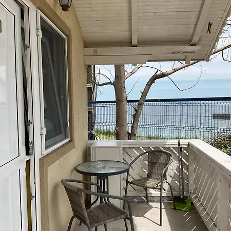 Проживание в семье Complex Pria