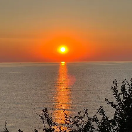 Complex Pria * Доуэ-Май